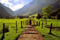 Alegria Mountain Bike Trail in Salento, Colombia